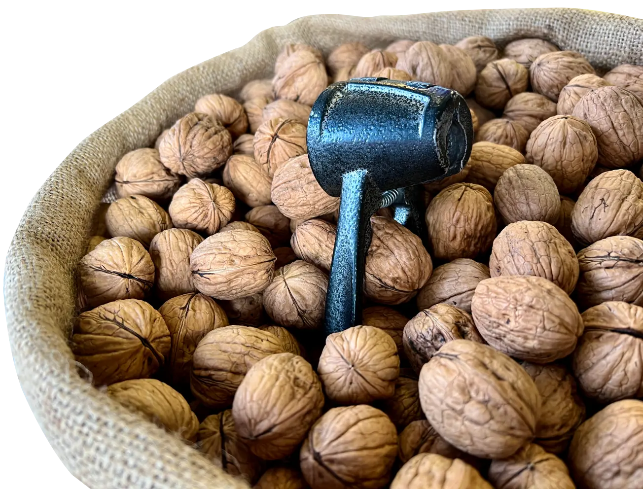 Buy Best Quality Walnut Wholesale